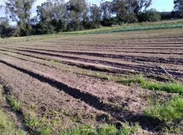 Rural · 47428600m² · Área com 4,722 hectares, Av. do Lami - Belem Novo