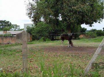 Terreno · 1000m² · Terreno com 1.000m² , dimensões de 20x50,