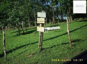 Terreno · 4200m² · Terreno para Venda - 0m², 0 dormitórios, Lomba do Pinheiro