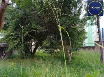 Terreno · 368m² · Terreno para Venda - 0m², 0 dormitórios, Tristeza