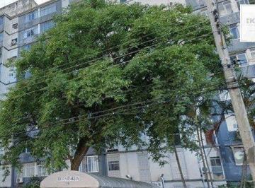 Apartamento · 37m² · Apartamento à venda - em Humaitá