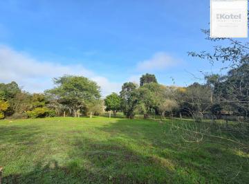 Rural · 150ha · 3 Quartos · 6 Vagas · Sitio na Restinga com 2 casas e ótima oportunidade para investimento