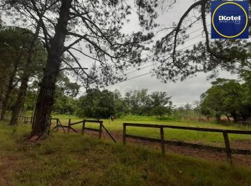 Rural · 120217m² · Sítio para Venda - 120217m², 0 dormitórios, Campo Novo
