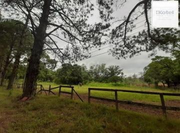 Rural · 120217m² · Sítio para Venda - 120217m², 0 dormitórios, Campo Novo