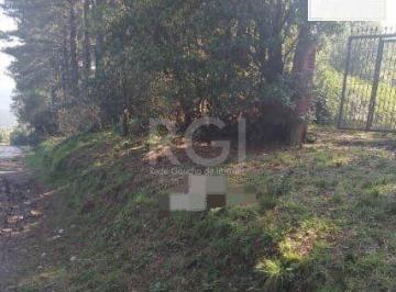Terreno · 4000m² · terreno - 180 m² - Lomba do Pinheiro