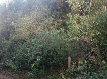Terreno · Terreno no bairro Aberta dos Morros em Porto Alegre