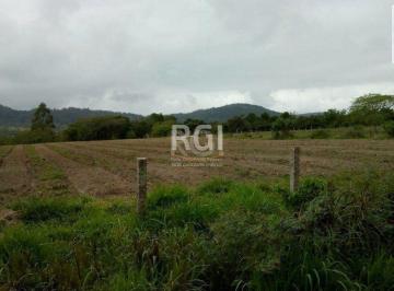 Terreno · 20060m² · Sítio para Venda - 20060m² Zona Sul Lami