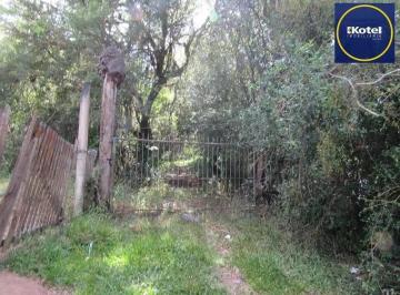 Rural · 53851m² · Área 53851,44 m²  no Beco da Paixão Bairro Lomba do Pinheiro