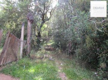 Rural · 53851m² · Área 53851,44 m² no Beco da Paixão Bairro Lomba do Pinheiro