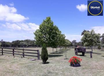Rural · 4m² · 3 Quartos · 9 Vagas · Sítio para Venda - 40685m², 0 dormitórios, Lami