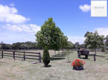 Rural · 4m² · 3 Quartos · 9 Vagas · Sítio para Venda - 40685m², 0 dormitórios, Lami