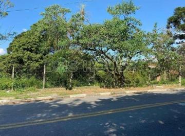 202510141936332185.jpg · Terreno para Venda em Cotia, Jardim dos Ipês