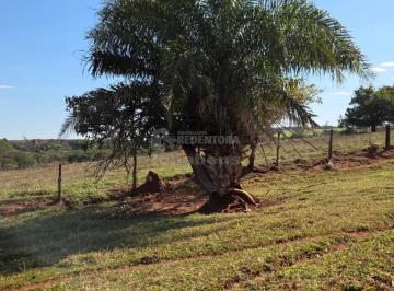 Rural · 108900m² · 3 Quartos · Sítio à Venda - 4,5 Alqueires em Fernandópolis-SP