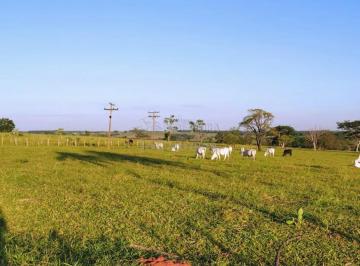 Rural · 108900m² · 3 Quartos · Sítio à Venda - 4,5 Alqueires em Fernandópolis-SP