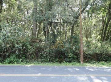 8d8f596044e78242e9b5446ac86a3598c7108198 · 3 Lotes – sendo dois de 20.000 m² e um de 26.000 m² – a partir de R$ 1.500.000 – Ferraria – Campo La