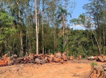 c0ad956ae94f5391d391a79349bfaef298ff0cb7 · Terreno à venda, 2143 m² por R$ 320.000,00 - Jardim Santa Paula - Cotia/SP