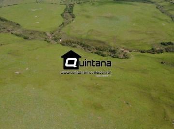 Rural · 800000m² · VENDO 80 HECTARES EM SANTANA DA BOA VISTA