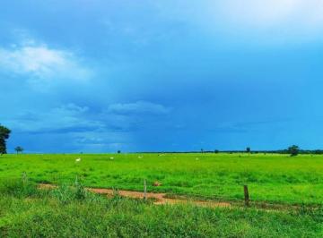 FAZENDA - VENDA - SÃO FELIX DO ARAGUAIA - MATO GRO · MATO GROSSO - São Félix do Araguaia - Fazenda a venda - 83.346 Hectares - Riquíssima em água - R$ 1