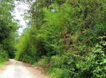 Terreno · 1200m² · Aproveitem a grande oportunidade de adquirir um lote com escritura - Cotia