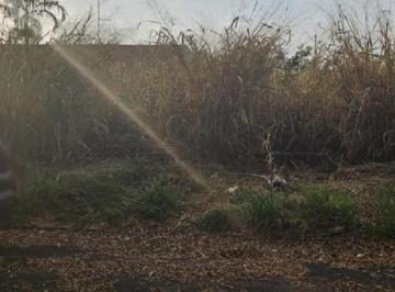 Terreno , Araraquara · Terreno com 13,50 metros de frente - Jd. Morumbi - Araraquara/SP