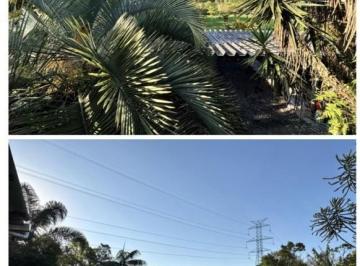 202511181223111608.jpeg · Chácara para Venda em São Bernardo do Campo, Zanzala, 4 dormitórios, 1 suíte, 2 banheiros, 12 vagas