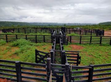 Rural , Alto Parnaíba · Leilão exclusivo: Fazenda São Bento c/ 16.040 hectares - Alto Parnaíba/MA