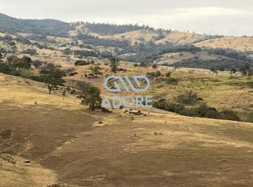 Rural · 121000m² · 1 Quarto · 6 Vagas · Sitio Encantador na Serra Paulista - São João da Boa Vista/SP