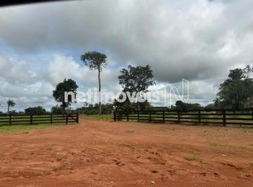 e153bc48-f6bb-496f-b4b3-85a8e2ce8216.webp · FAZENDA BOM JESUS - MATO GROSSO.