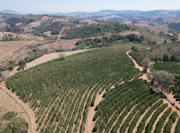 Rural · 48400ha · Sítio de 20 alqueires em Bandeira do Sul-MG com 5 alqueires em café - NJ1