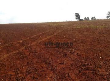 f96de0c9bda12e5a93470518db77007e26ee3dc3 · Fazenda à venda, 4985200 m² por R$ 26.780.000,00 - Itaí - Itaí/SP
