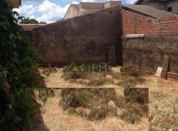 14847515230.jpg · Terreno com 440 m² na região central de Londrina                                                    