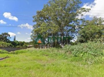 14591815230.jpg · Terreno de 2403m² na cidade de Cambé                                                                
