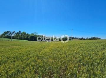 Rural · 20000m² · Chácara em Araucária