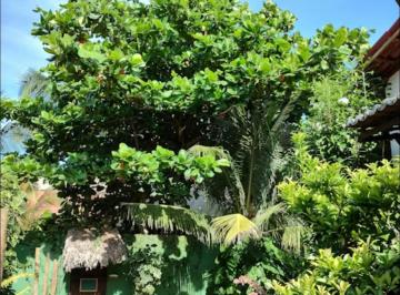 Casa , Jijoca de Jericoacoara · Linda casa rústica a venda em Jericoacoara