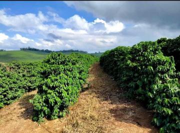 Rural · 871m² · Sítio de 3.6 alqueires de café em Muzambinho-MG - NJ1