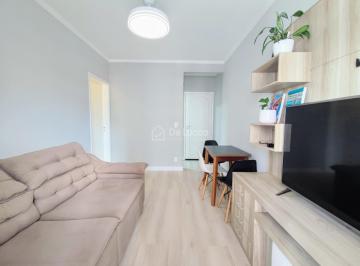 0 · apartamento para aluguel em Cambuí