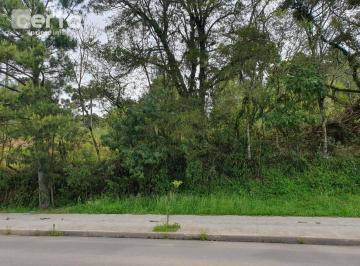 114e65d57c69f98fd11b54c1c3464427e4cc1567 · Terreno à venda - Canelinha - Canela/RS