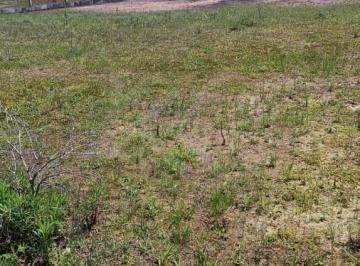 202510171313566491.jpg · Terreno para Venda em Gaspar, Figueira