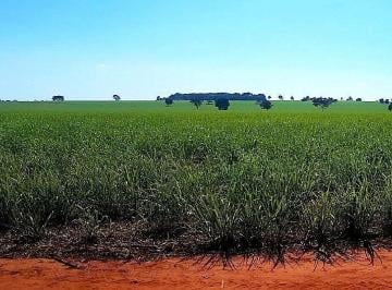 Rural , Quirinópolis · Fazenda em Quirinópolis Go.