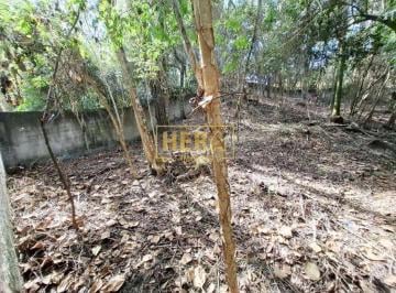 Terreno · 2000m² · Terreno 2000m² em Condomínio - Castanho