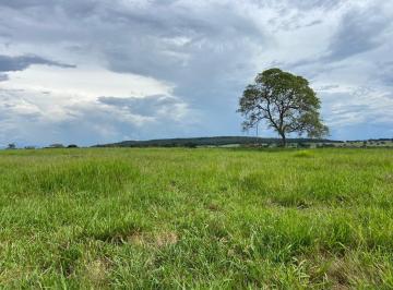 Rural , Quirinópolis · Excelente fazenda 88 alqueires em Quirinópolis