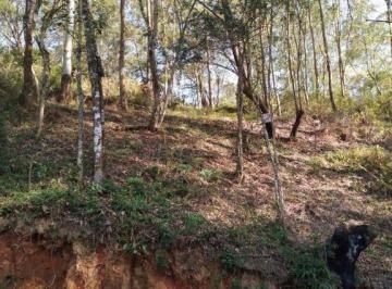 imagem · Terreno à venda em Santana de Parnaíba, Parque Alvorada