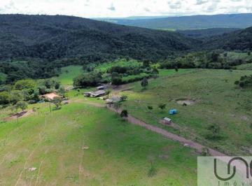 WhatsApp Image 2025-10-03 at 11.09.05 (2).jpeg · PLANALTINA - GO - FAZENDA CORREGO RICO