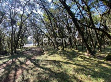 Rural · 86584m² · 1 Quarto · Chácara à Venda em Contenda - São José dos Pinhais