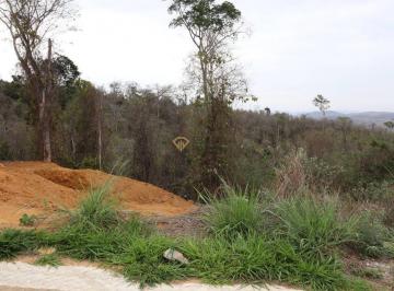 Terreno · 310m² · Lote/Terreno, Fazenda Vitali - Colatina