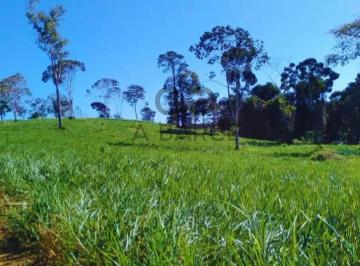Rural , Una · FAZENDA SANTA MARIA - 349HA - UNA/BA