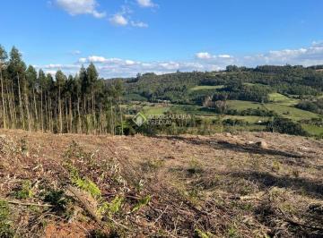 756868_i5nJm5ZX_75686868f24b787401c.jpg · Área  Pinhal Alto- Nova Petrópolis/RS