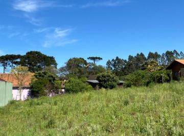 Foto 01 · Terreno - Brasília