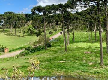 Foto 11 · Chácara, Campestre, Campo Alegre, SC