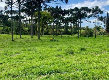 Foto 10 · Chácara, Campestre, Campo Alegre, SC
